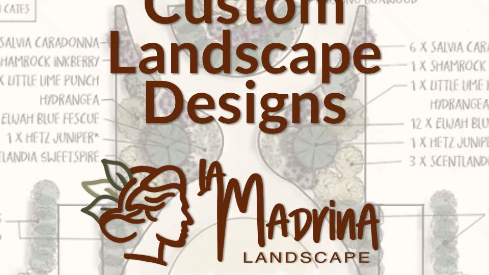 Design Plans